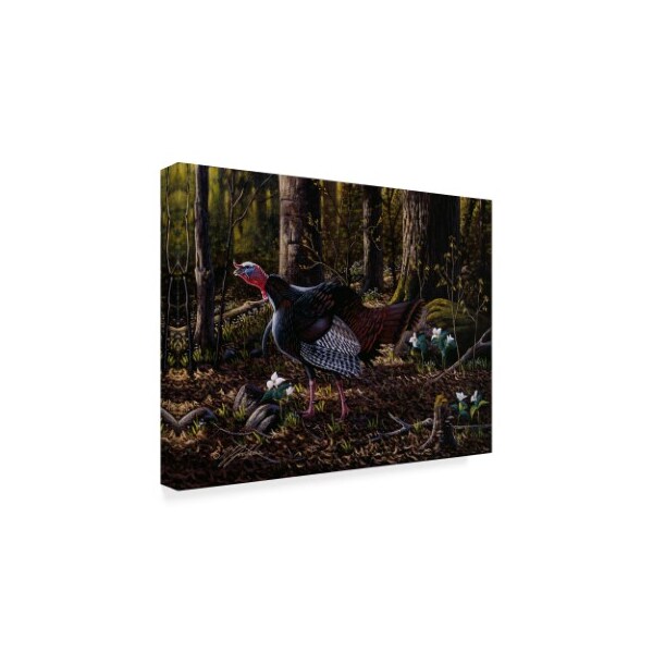 Wilhelm Goebel 'Hillside Gobbler' Canvas Art,24x32